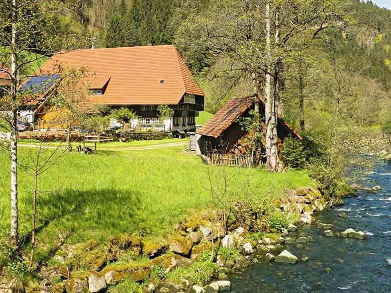 Gaestehaus Ursula Hornberg Exterior photo