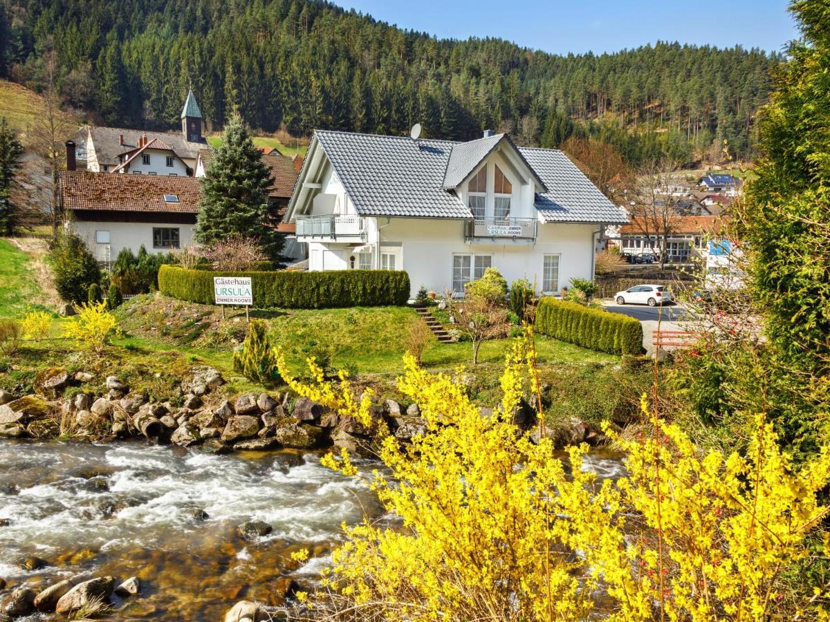 Gaestehaus Ursula Hornberg Exterior photo